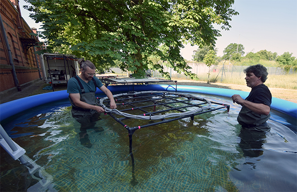 BGR-Experten bauen das Spulensystem zum Test im Pool auf.