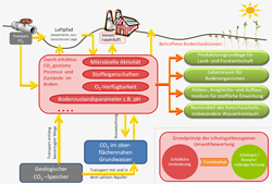 Abb. 2: Darstellung der potentiellen Wirkungspfade bei der Umweltbewertung der CCS-Technologie (grau) im Hinblick auf das Schutzgut Boden (rot) und seine zu erhaltenden Bodenfunktionen (grün)