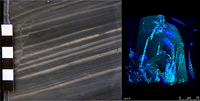 links: Sedimentkern mit viel organischem Kohlenstoff - rechts: Fluoreszierende Kohlenwasserstoffeinschlüsse in einem Gestein