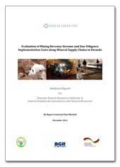 Titelblatt der Studie "Evaluation of Mining Revenue Streams and Due Diligence"