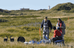 Messung der Oberflächen-Nuklearmagnetischen Resonanz (Oberflächen-NMR) auf Langeoog